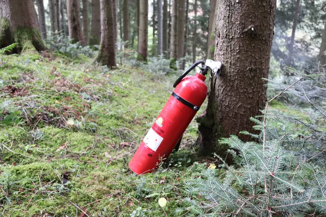 Feuerlöscher Wald