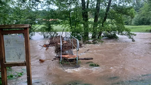 Geäst verbaut Brücke © Feuerwehr Göggingen